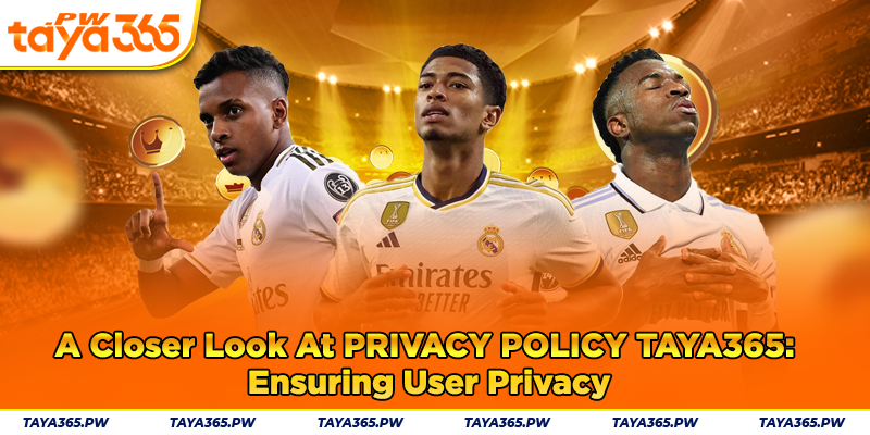 Closer Look At Privacy Policy Taya365: Ensuring User Privacy