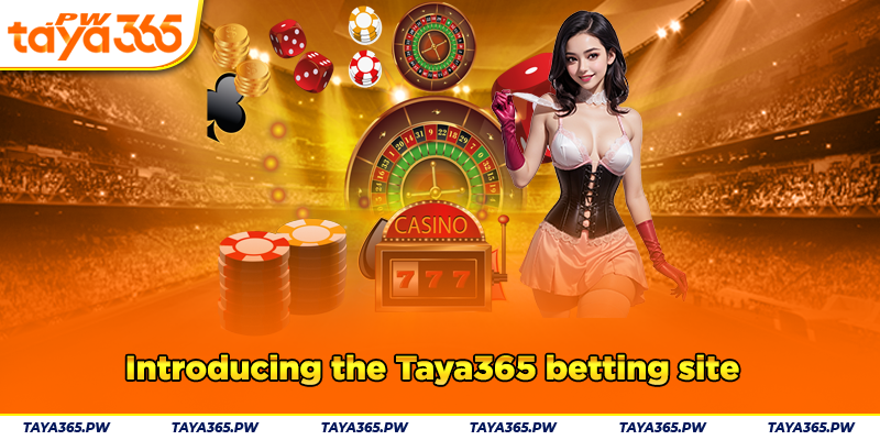 Introducing the Taya365 betting site