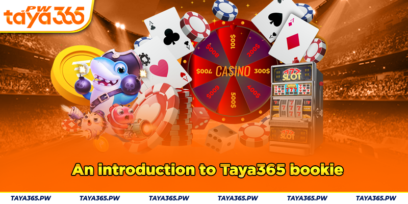 An introduction to Taya365 bookie