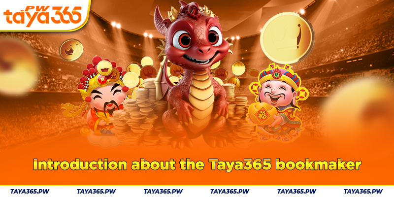 Introduction about the Taya365 bookmaker