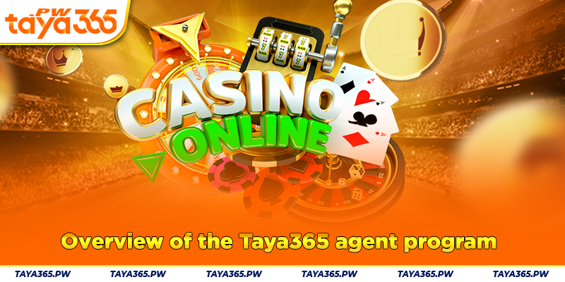 Overview of the Taya365 agent program
