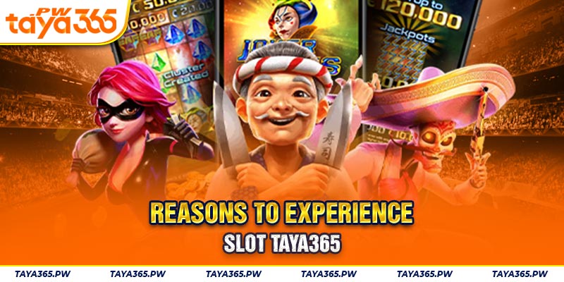 Reasons to experience slot Taya365