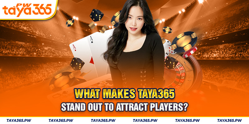 What makes Taya365 stand out to attract players?