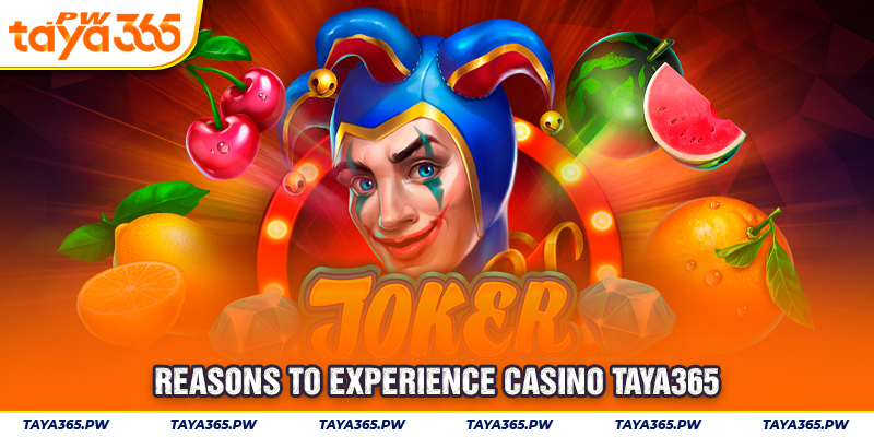 Reasons to experience Casino Taya365