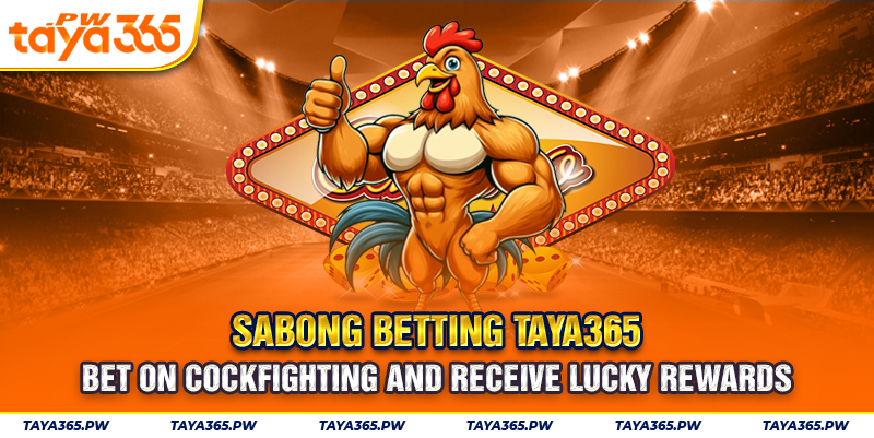 Sabong betting Taya365: Bet on cockfighting and receive lucky rewards