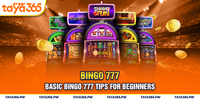 Basic Bingo 777 tips for beginners
