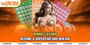 Bingo Casino - become a superstar and win big