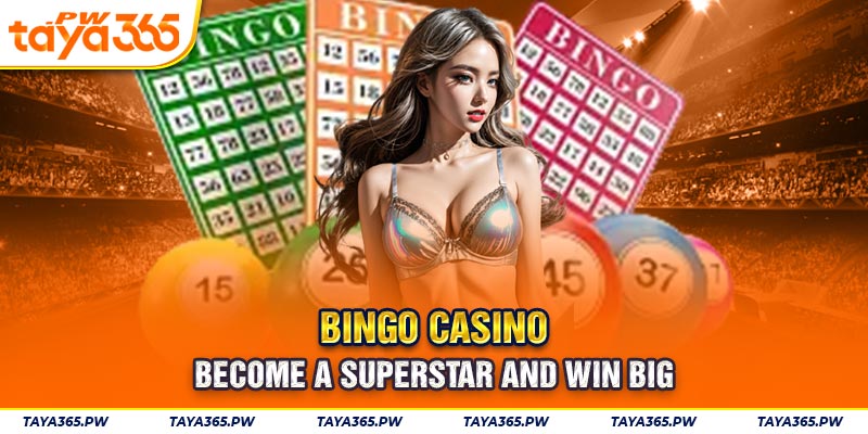 Bingo Casino - become a superstar and win big
