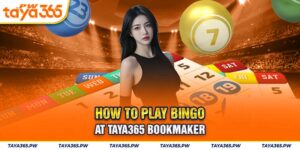 How to play Bingo at Taya365 Bookmaker
