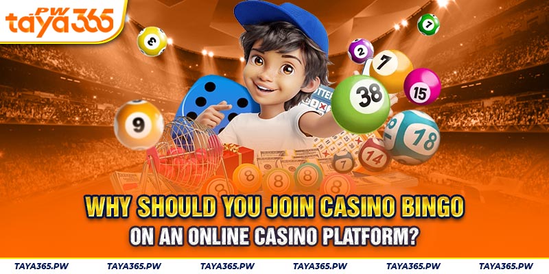 Why should you join casino bingo on an online casino platform?