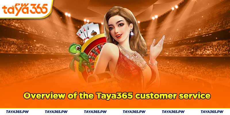 Overview of the Taya365 customer service