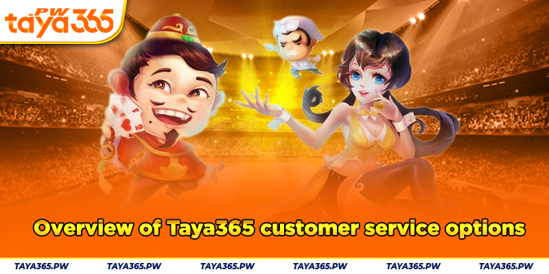 Overview of Taya365 customer service options